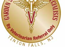 GSVS Logo
